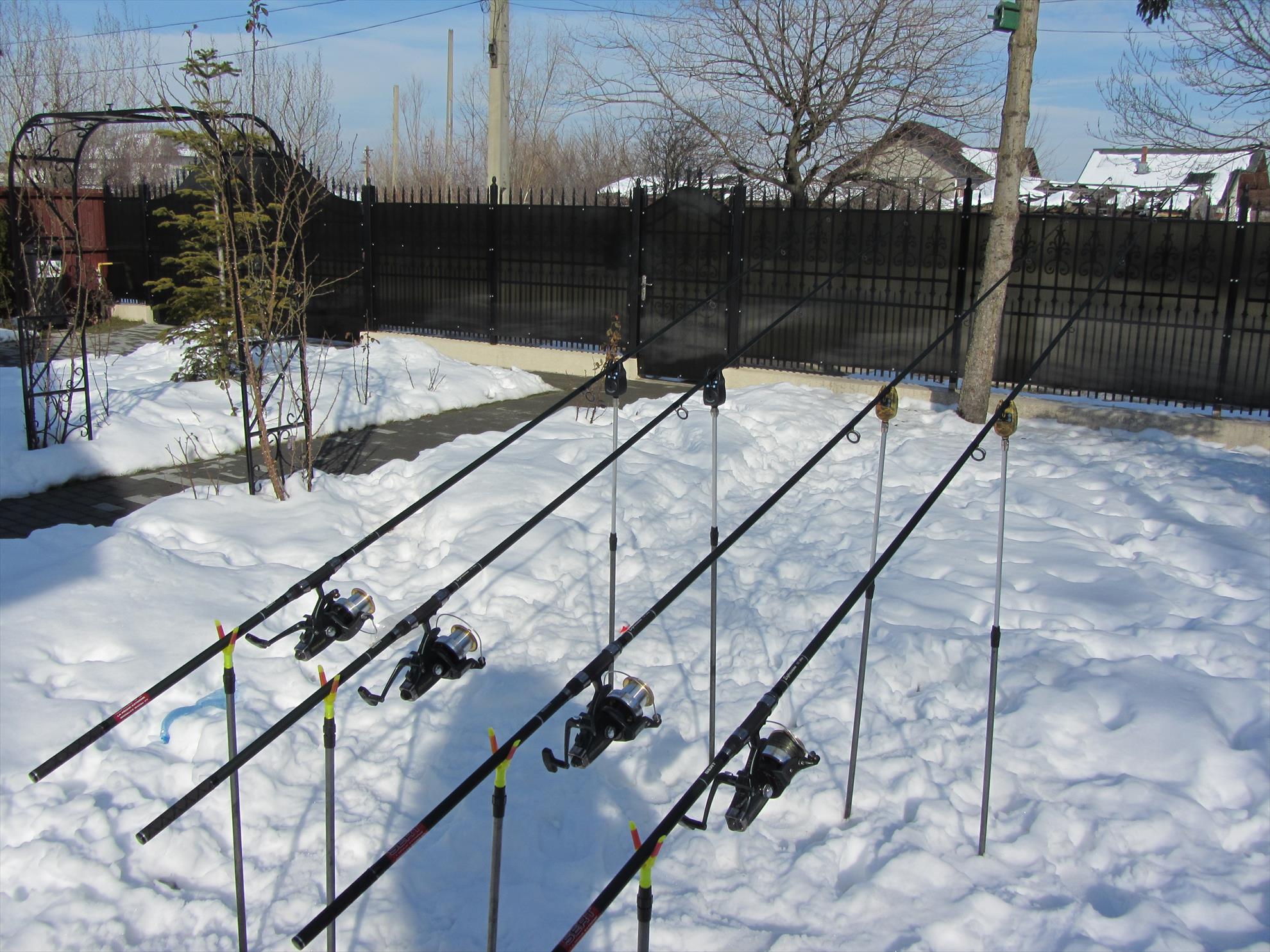 primavara?? - img2161.JPG